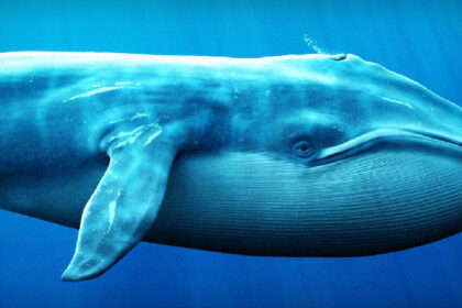 I sold this altcoin and made a huge profit