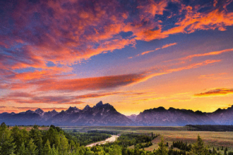 Chain Orisis, selected inca digital to detect illegal use of wist