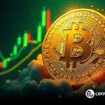 Bitcoin supply will shrink at 172,705 BTC purchased in February - this will showcase the impact