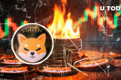 Shiv Burns records a mysterious 771,019% surge - what's going on?