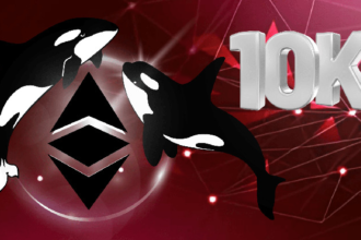 Does ETH reach $10K as soon as whales accumulate?