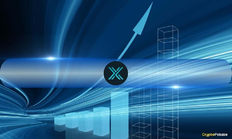 The unchanging X and ZKEVM NFT sales surge will be 55% in Q4 2024, but market participation will decrease