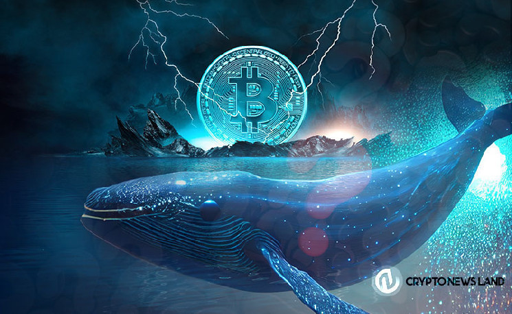 Bitcoin Zilla is causing a $252 million market impact