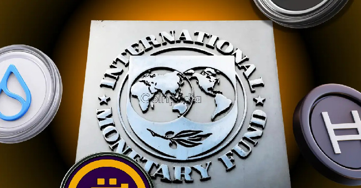IMF updates global standards including Bitcoin - Dennis Porter clears the "digital gold" confusion