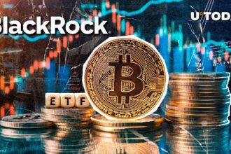 Bitcoin ETF branch: BlackRock accumulates and others are settled