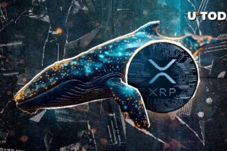 98,292,623 XRP was mysteriously transported as new whales were born