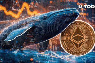 Amazing Ethereum (ETH) whale accumulation just began: More Information