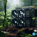 Bitcoin Minor Hive Digital stock jumps 2% when completing a 100 MW site in Paraguay