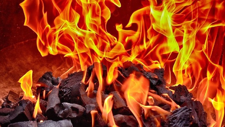 Following a 90% price crash, a $160 million token from the founder of DAO, a 50% burning mantra