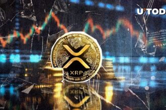 XRP sees a 37.92% rise in trading volume since the launch of XRP ETFs