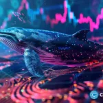 Ethereum whales buy more as Ethereum control drops to 8%