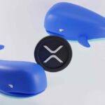 XRP Whale has moved over $60 million amid ETF hype