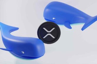 XRP Whale has moved over $60 million amid ETF hype