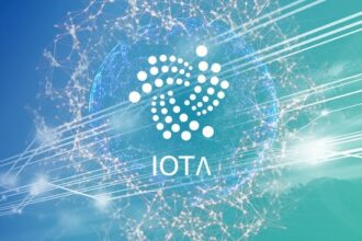 Allows institutional access to IOTA and beyond