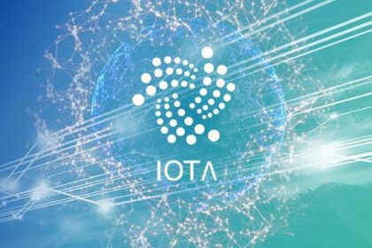 Allows institutional access to IOTA and beyond