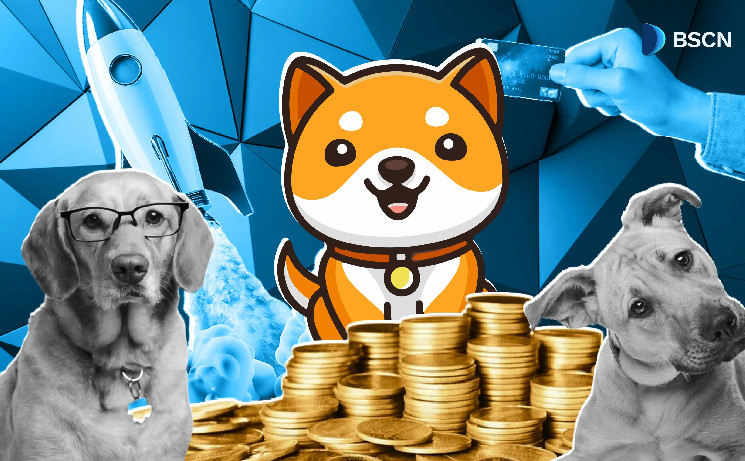 Babydoge's Story: More Than Meme Coin