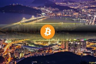 Amazing split in the behaviour of Bitcoin (BTC) traders