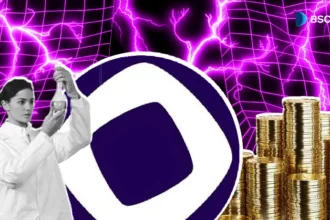 The ultimate blockchain test ground