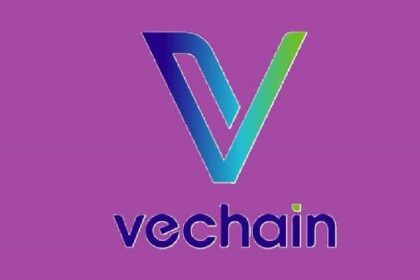 VeChain is building what others promise.
