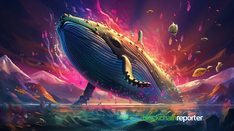 When a new wallet appears, the 40m+ token was withdrawn