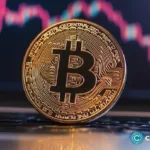 Long-term Bitcoin holders hold firmly despite the recent lows of 47%
