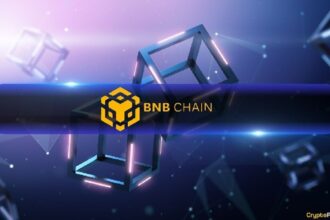 BNB Chaindex Volume Hit 3 Months High: Beat Ethereum, Lag Solana