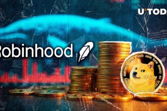 Mystical Dog Coin Zilla pulls 200,000,000 doges from Robin Hood