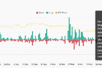 Bitcoin prices up to $104,000 will be settled nearly $400 million, and bearish BTC bets will open the door to further profits