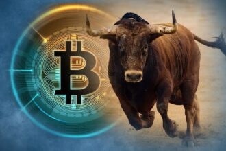 This Bitcoin Bull Run is very different from the previous Bull Run.