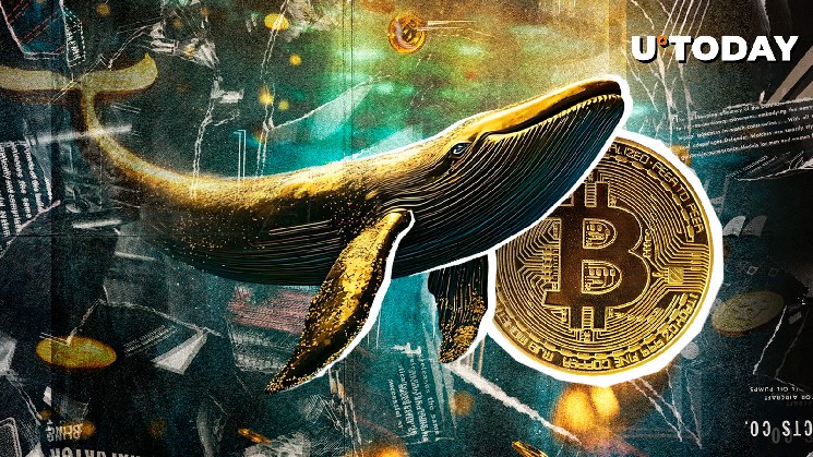 Post Satosiera Bitcoin Wallet is awakened at 300 BTC worth $31,045,610