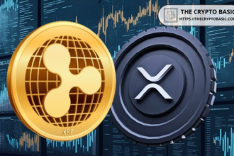 Here's how well XRP Ripple holds compared to the last quarter of 2024: