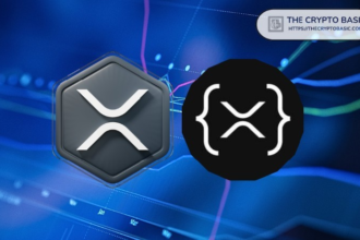 Bitwise reveals what drives XRP values ​​within the XRP ledger and Ripple ecosystem