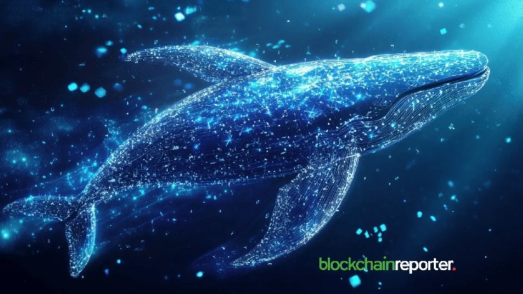 Whale bets $13 million on short positions