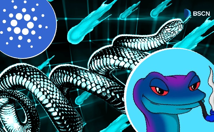 Snek Decoded: Cardano's best meme coin?