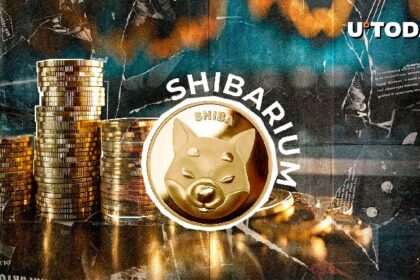 Shiba Inu team publishes major shiverium updates