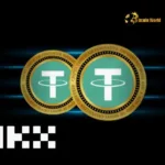 Large OKX USDT Transfer Spark Mystery