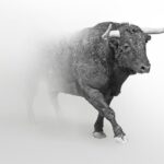 "In a scenario where Bitcoin reaches $300,000, ETH..."