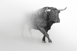 "In a scenario where Bitcoin reaches $300,000, ETH..."