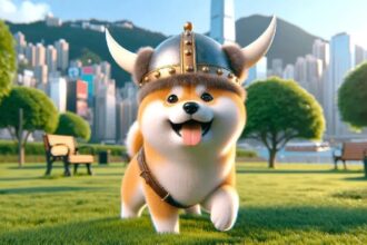 Floki INU helps Web3 users with a new identity platform