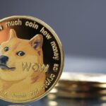Doge Investors will receive support from the community screaming "Hold!"