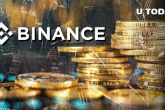 Crypto Exchange Binance provides zero FEE drawers with this Stablecoin