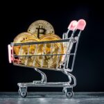 Metaprenet already has 5,555 Bitcoins and there are no plans to stop it