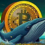 Does this whale leverage bet push Bitcoin to its highest height ever?