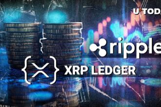 Ripple rolls out the permitted Dex in the XRP ledger, and SBI CEO shares Hot Take