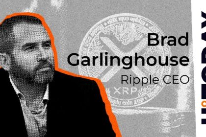 Ripple CEO denies rumors of Circle acquisition