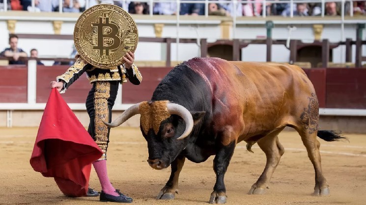 Bitcoin Bulls Pushing To Record Highs - $108,000 Violation - Analysts Share What to Expect Next