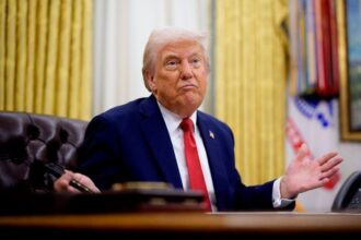 Trump's team "knows nothing" about the apparent "Trump Wallet" release