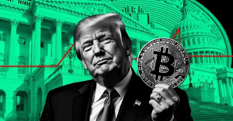 Trump Media nods for Bitcoin Treasury application: What's next?