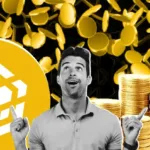 What is the BNB Chain RWA Incentive Program?