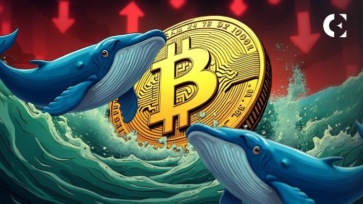 Bitcoin is immersed in geopolitical news, but on-chain data shows whales are buying